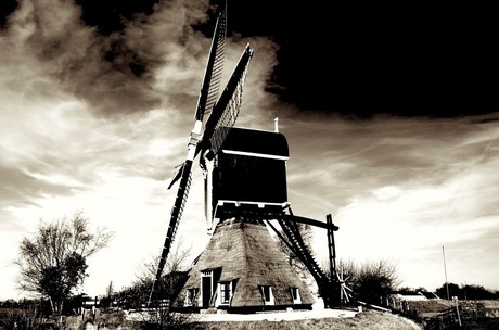 Molen