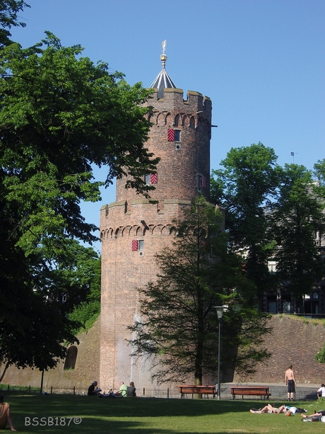 de Kruidtoren