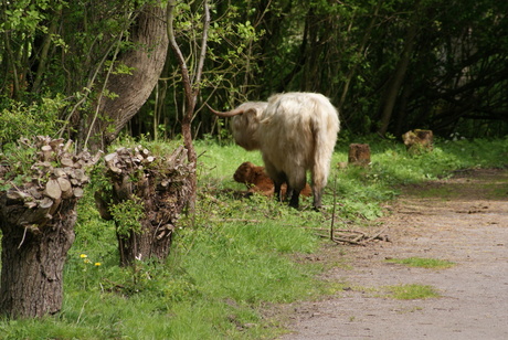 zoek de kleine