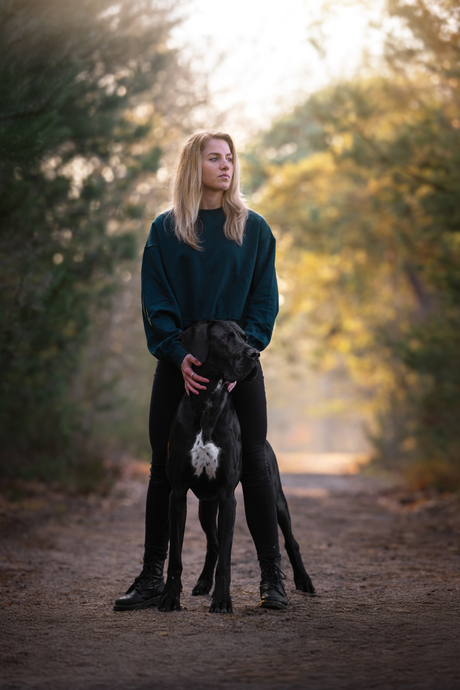 Looking in the same direction