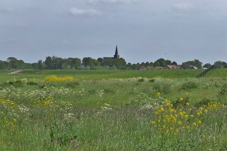 Ouderwets landschap