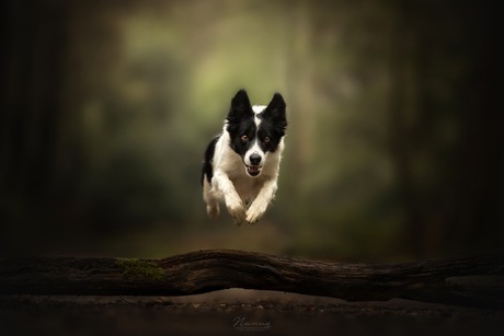 Jumping into the weekend 