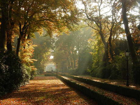 Herfst (2)