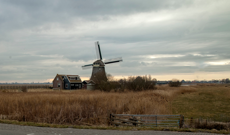 Molen