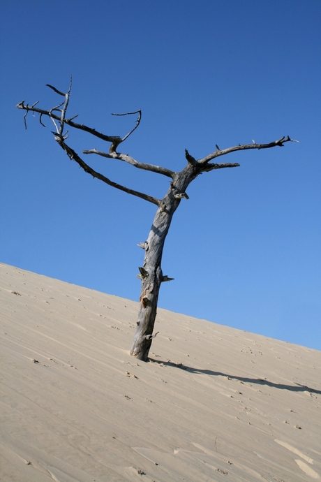 Dune du Pilat