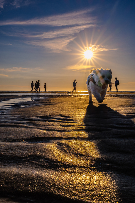 Sunset on Texel 