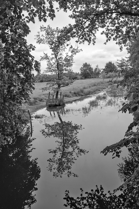 Doorkijkje 