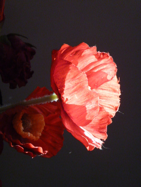 Fake flower by Elle Hart