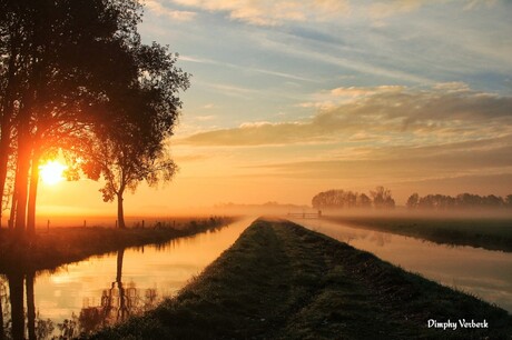 Zonsopkomst met mist