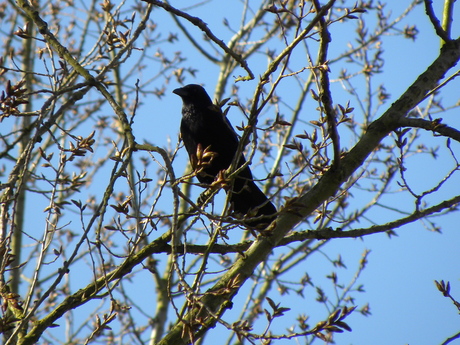 Hoog en droog