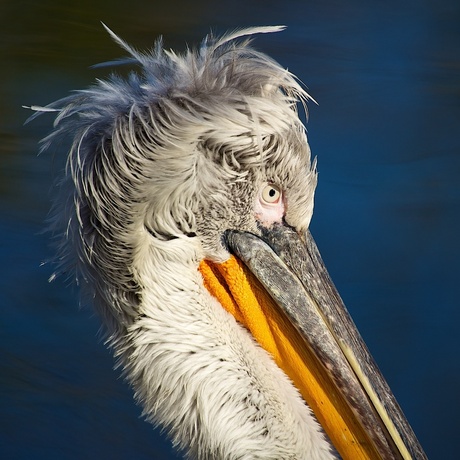 In het Winterzonnetje