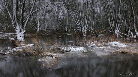 Biesbosch blizzard