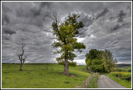 Landschap