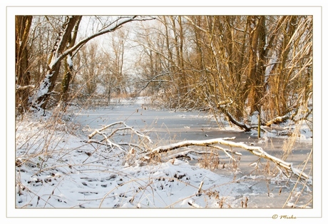 Puur natuur