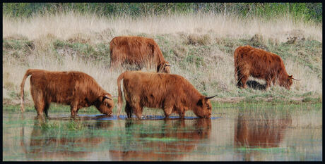 eten en drinken