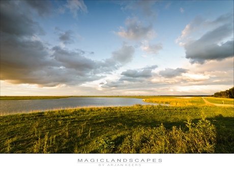 oostvaardersplassen