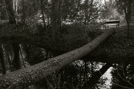 Doornburgh, Maarssen-dorp