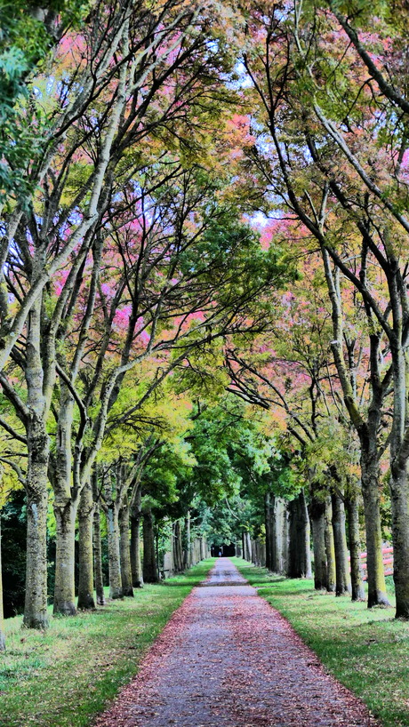 Fascinerende Oktoberkleuren.
