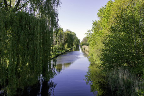 Lange Vaart