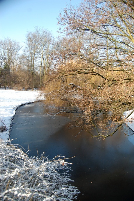 winter2010