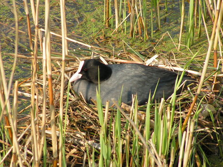 De lente is begonnen