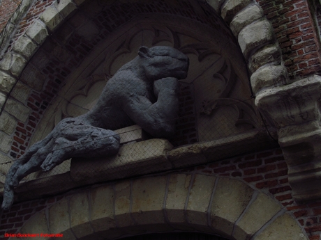 Een panter op de muur in Antwerpen