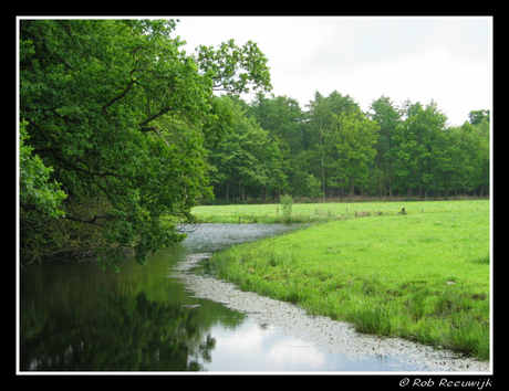 Beekje