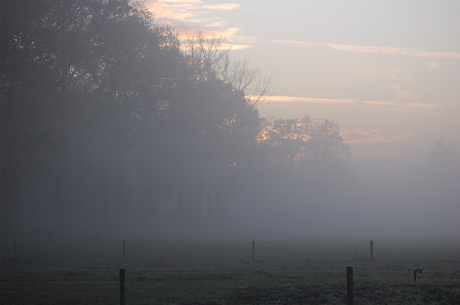 Mist in Twente