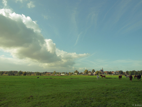 wolkenpartij