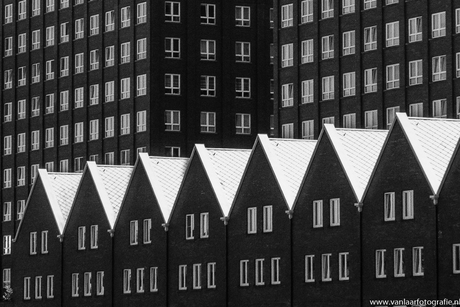 Architectuur_Rotterdam2