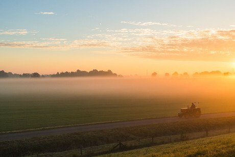 De morgenstond heeft goud in de mond