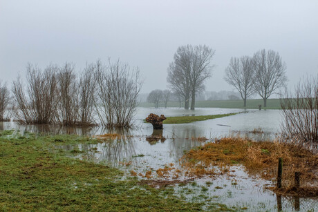 Hoog water op een mistige morgen