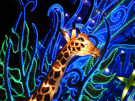 Giraffe Light Zoo