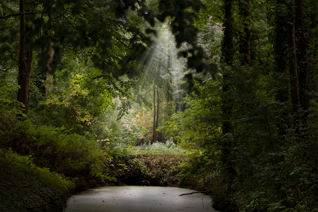 mijn paradijsje - op Landgoed Hemmen