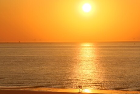 Gouden zonsondergang strand Cadzand