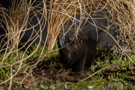 nieuw thuis voor mijn neushoorn