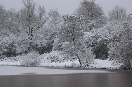 Winterlandschap
