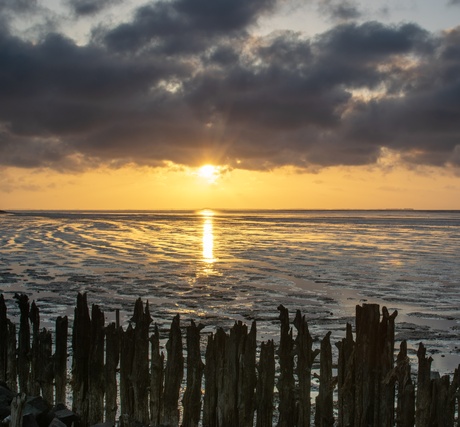 Het wad op zijn mooist