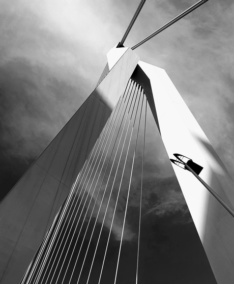 De Zwaan - Rotterdam 