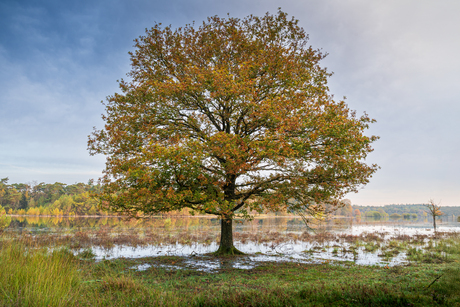 Voeten in het water