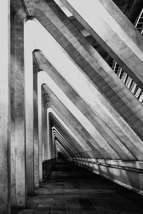 Modern architecture 19