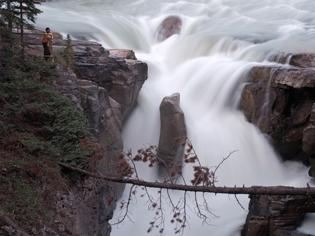 Sunwapta Falls