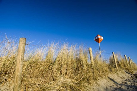 Strandslag 2