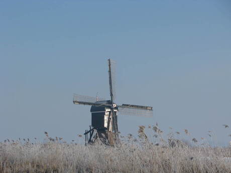 Watermolen