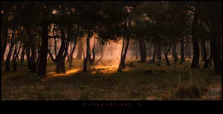 Ochtendlicht 2