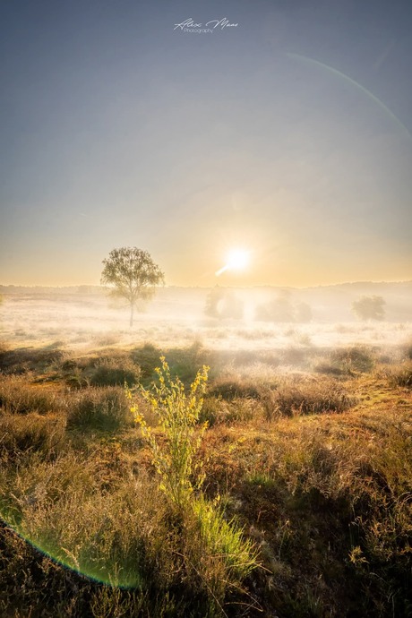 Zonsopgang 