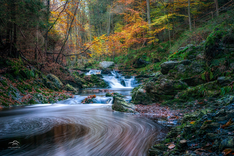 Herfst in de Ardennen