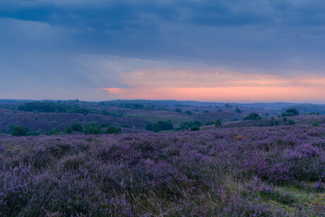 Bewolkte zonsopkomst boven de Zijpenberg