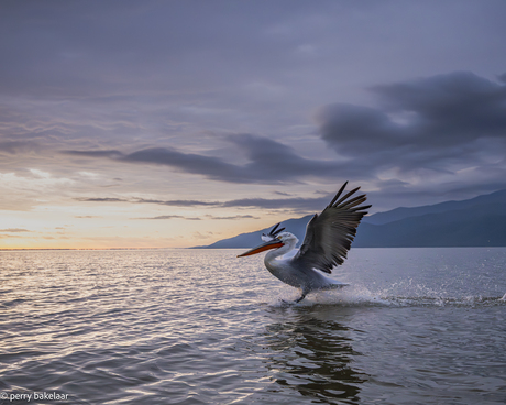Een mooi begin van de dag