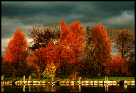 Herfstkleuren